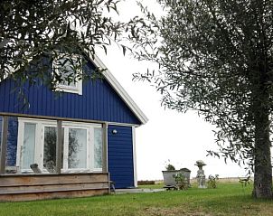 Vuurtorenweg 58 C Ferienhaus De Cocksdorp Texel mit grnem Garten und schattigen Pltzen.