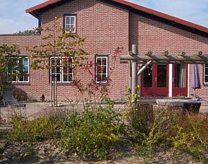 Backyard of Cottage in De Cocksdorp, Texel, with colorful plants and inviting terrace.