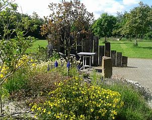 Floral garden of Cottage in De Cocksdorp, Texel, with colorful flowers and green grass.