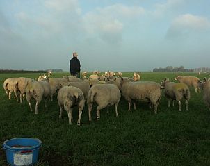 Unterkunft 010123 - Ferienhaus Texel - de Oorsprong