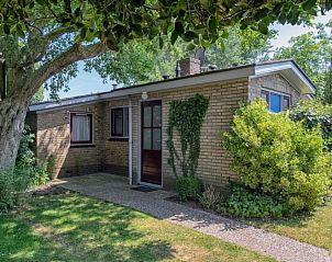 Ferienhaus 9600 - Daalder - Troost in De Cocksdorp Texel, umgeben von grner Natur.