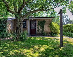 Grner Garten im Ferienhaus 9600 - Daalder - Troost in De Cocksdorp Texel.