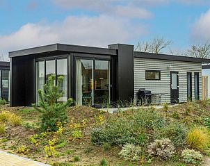 Unterkunft 0101266 - Ferienhaus Texel - Pavilion 4+4