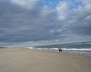 Prachtig strand nabij vakantiehuis De Vlinder, De Cocksdorp, Texel, ideaal voor lange wandelingen langs de kust.