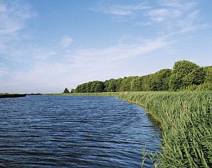 Beautiful view of the water near Type C Apartment de Stoeterij, De Cocksdorp, Texel, with lush vegetation.