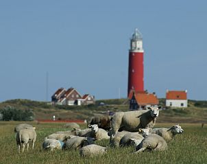 Iconic lighthouse and sheep pasture near Type C Apartment the Stoeterij, De Cocksdorp, Texel, a typical Texel landscape.