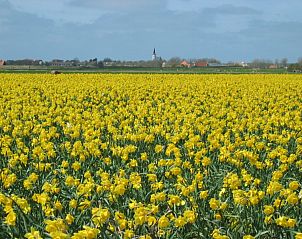 Unterkunft 010132 - Ferienhaus Texel - Junier/huisman