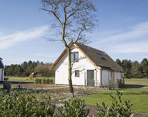 Landhaus Typ K in grner Umgebung in De Cocksdorp, Texel, Waddeninseln.