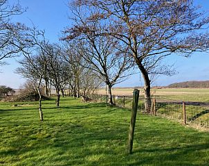 Groer Garten mit Picknicktisch in Paal 91 Texel, Ferienhaus in De Cocksdorp.