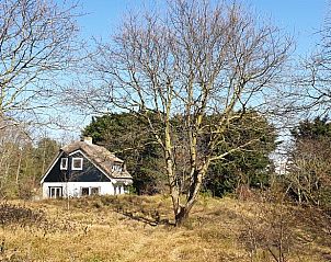 Unterkunft 0101418 - Ferienhaus Texel - Vakantiehuis in De Cocksdorp