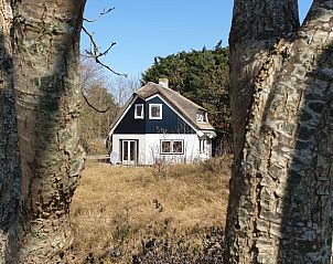 Unterkunft 0101418 - Ferienhaus Texel - Vakantiehuis in De Cocksdorp