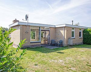 Backyard of Bungalow Tamarisk 190 on Texel, with green surroundings and terrace.