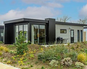 Pavilion 4 vacation home in De Cocksdorp, Texel, surrounded by natural gardens and modern architecture on the Wadden Islands.