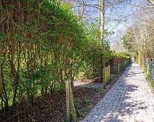 Schattiger Zugangsweg zum Bungalowpark Slufterduin - 't Oppertje, Ferienhaus in De Cocksdorp, Texel.