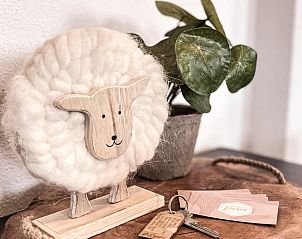 Dekorative Details im Ferienhaus in De Cocksdorp, Texel, mit niedlichen Accessoires und Grnpflanzen auf den Watteninseln.