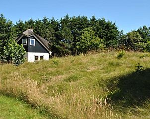 Unterkunft 0101453 - Ferienhaus Texel - Vakantiehuis in De Cockdorp
