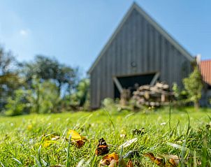 Der blhende Baum im Garten des Ferienhauses in De Cocksdorp, Texel, bietet einen Hauch von natrlicher Pracht.