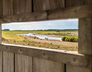 Das Ferienhaus in De Cocksdorp, Texel, liegt inmitten der Natur und der ppigen Felder und bietet eine erholsame Umgebung.