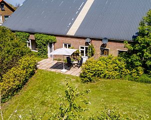 Cozy terrace at Cottage in De Cocksdorp, Texel, surrounded by greenery and tranquility.