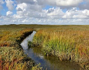 Quiet waterway in the nature reserve near cottage in De Cocksdorp, Texel, ideal for walks.