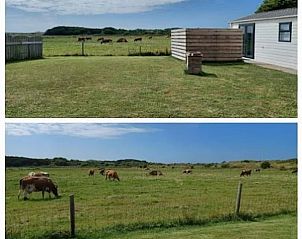 Verblijf 0101468 - Vakantiewoning Texel - Chalet Duunzicht