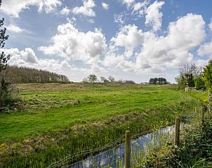 Guest house 010147 - Holiday property Texel - Luxe Villa Texel  8-10 personen met Sauna Krim 95