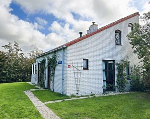 Unterkunft 0101501 - Ferienhaus Texel - Vakantiehuis D 429