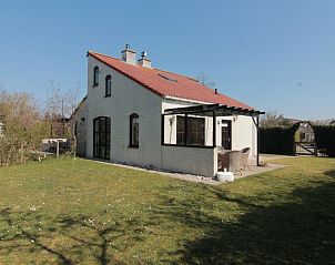 Guest house 0101517 - Holiday property Texel - Vakantiehuis D 437