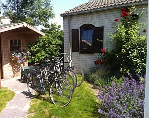 Unterkunft 010153 - Bungalow Texel - Heerlijk vakantiehuis