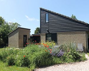 Unterkunft 0101546 - Ferienhaus Texel - Vakantiehuis C 081