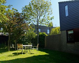 Unterkunft 0101578 - Ferienhaus Texel - Vakantiehuis A 169