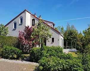 Guest house 0101602 - Holiday property Texel - Vakantiehuis D 657