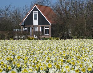 Guest house 010168 - Holiday property Texel - Bungalow Klein Axel