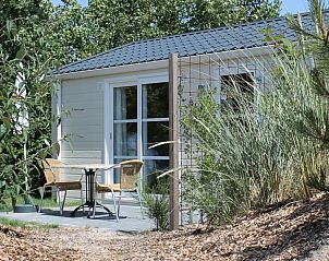 Unterkunft 0101697 - Chalet Texel - Hotelchalet