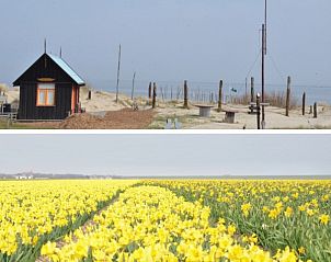 Unterkunft 010172 - Bungalow Texel - Teenstrapad