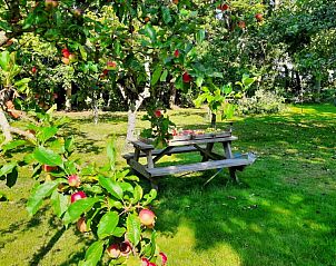 Unterkunft 010173 - Ferienhaus Texel - Paal 86 Texel
