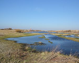 Guest house 0101750 - Apartment Texel - Stoeterij C65