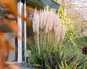 Unterkunft 0101789 - Ferienhaus Texel - Tweepersoons kamer Superior tuin suite - Bad/douche/toilet