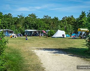 Guest house 0101819 - Holiday property Texel - Standaard plaats blauw