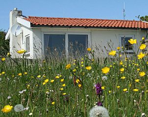 The Roggesloot vacation home in De Cocksdorp, Texel with colorful flowers in the garden.