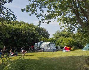 Guest house 0101827 - Holiday property Texel - Kamperen bij de boer 15