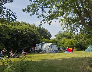 Guest house 0101827 - Holiday property Texel - Kamperen bij de boer 15