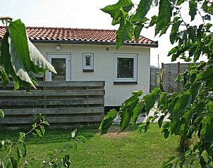 Rear view of De Roggesloot vacation home in De Cocksdorp, Texel surrounded by greenery.