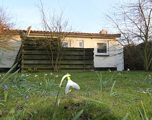 Spring garden at De Roggesloot vacation home in De Cocksdorp, Texel with flowering snowdrops.