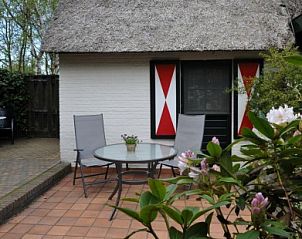 Zonnig terras met bloemen bij Wind en Zee vakantiehuis in De Koog, Texel, Waddeneilanden.
