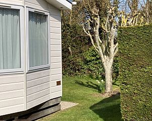 Unterkunft 0102178 - Ferienhaus Texel - Camping Coogherveld - Chalet Jori