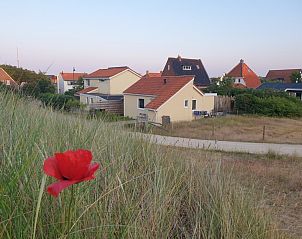Picturesque surroundings of De Duinpan - Duinhuisje Texel in De Koog, surrounded by dunes and flowers.