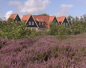 Vakantiehuis Landleven 4/5 pers. in De Koog, Texel omringd door bloeiende heide en natuur.