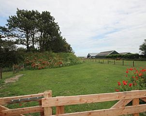 Uitzicht op de tuin van 6 Persoons luxe villa met sauna, De Koog, Texel. Prachtige groene omgeving ideaal voor ontspanning en natuur.