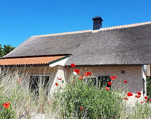 Rustieke rieten dak van Duinrand Vakantievilla's Type 2 in De Koog, Texel, omgeven door wilde bloemen.